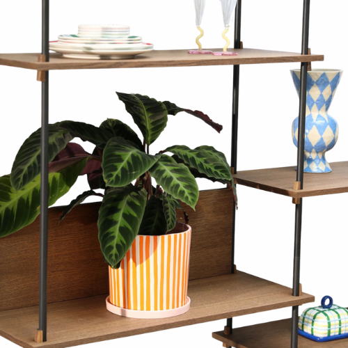 Plant Pots & Vases