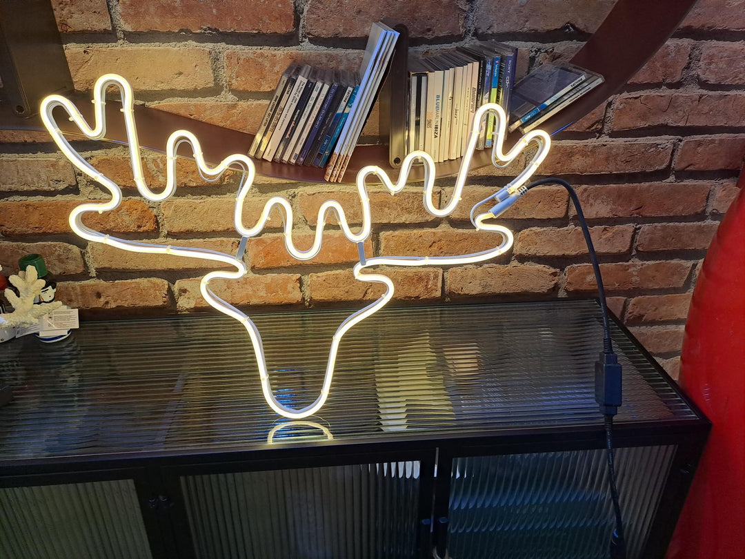 Dasher Reindeer LED Light