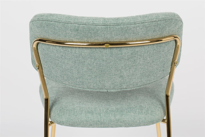 Light Green &amp; Gold Leg Jolien Chairs Sets