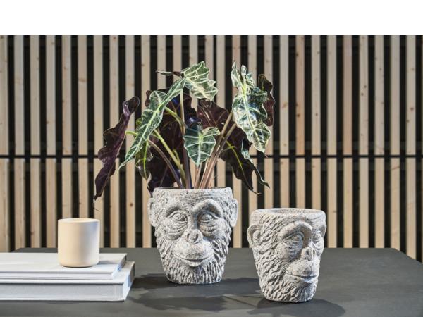 Gorilla Head Plant Pots