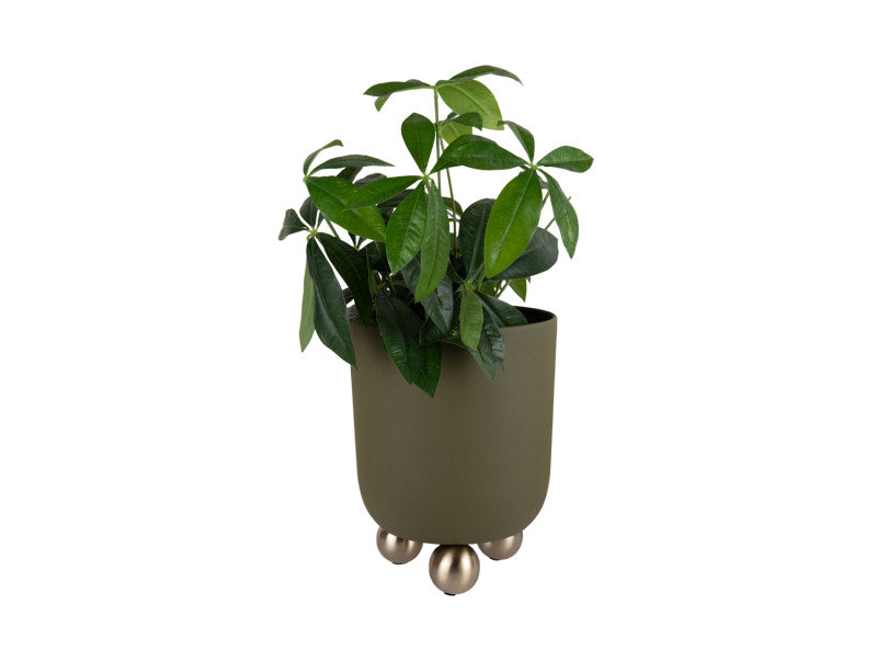 Green Estilo Plant Pots