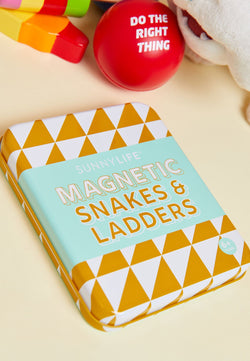 Magnetic Snakes & Ladders Game