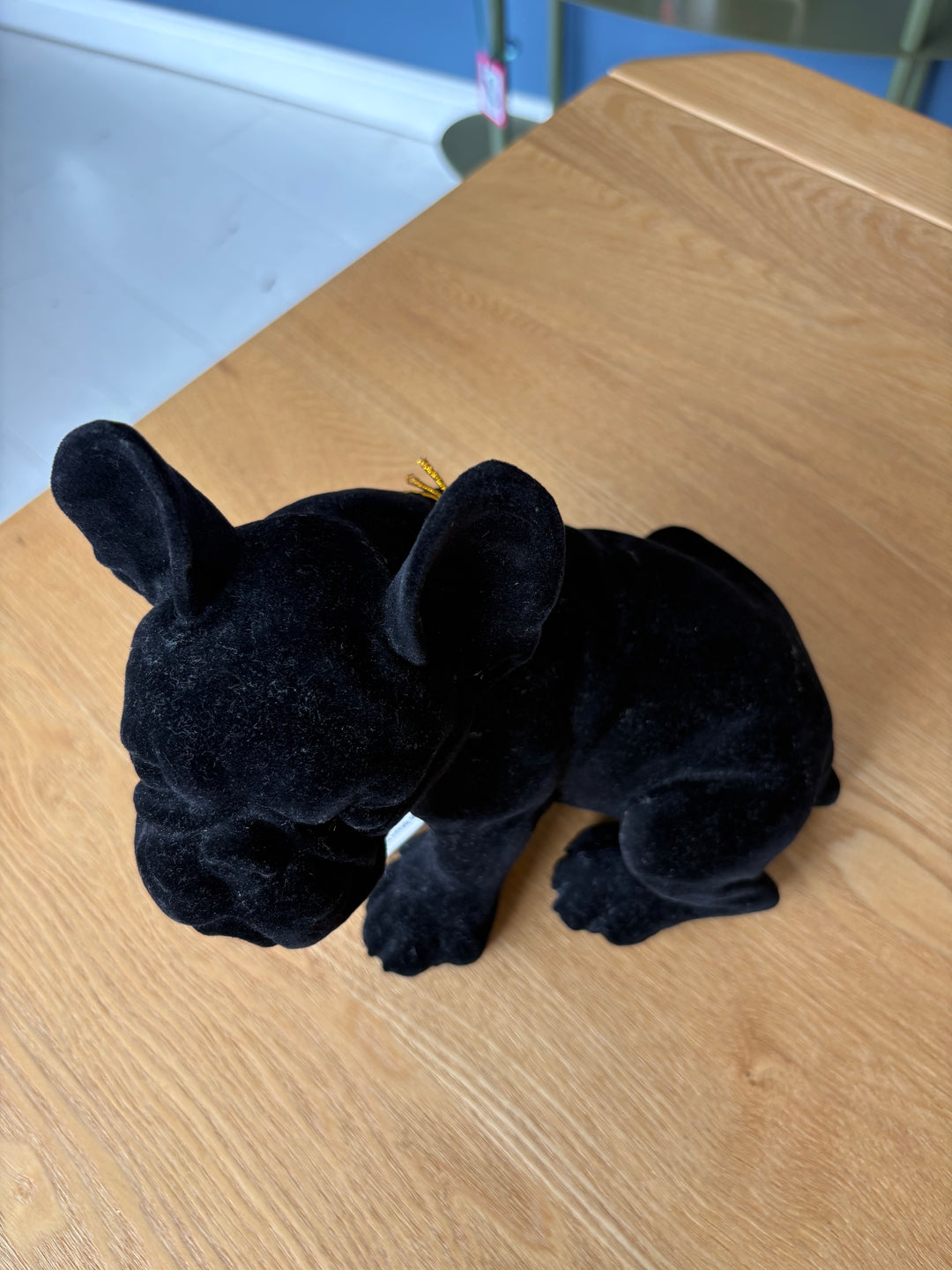 SALE Black Velvet Dog Coinbank