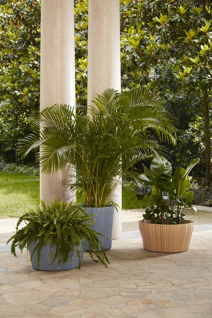 Kartell Corteza Plant Pots