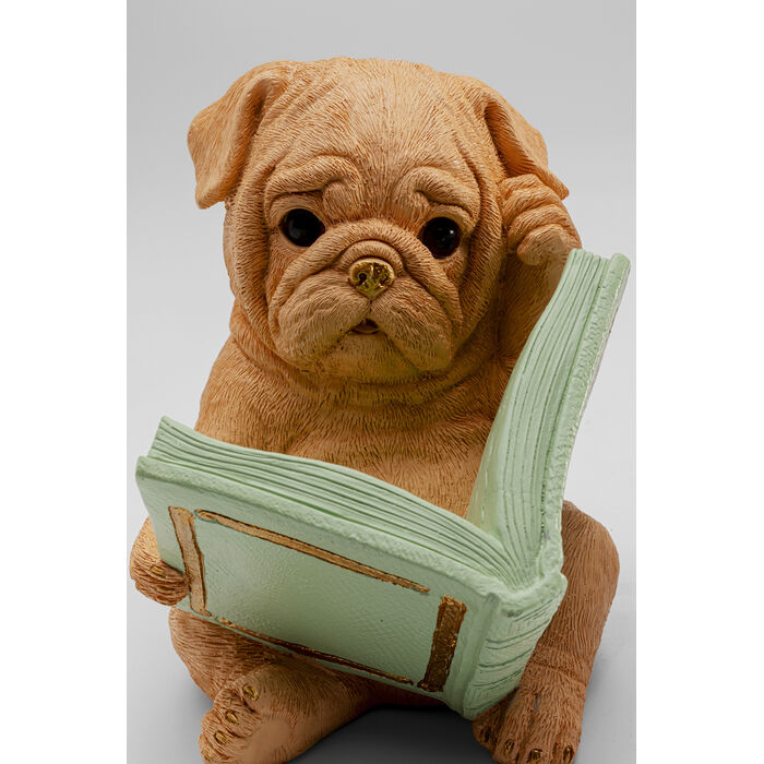 Bookend Pet Party Set