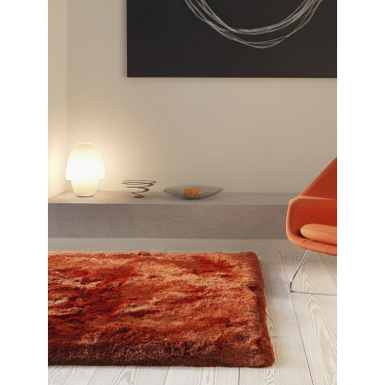 Plush Rust Runner & Rugs