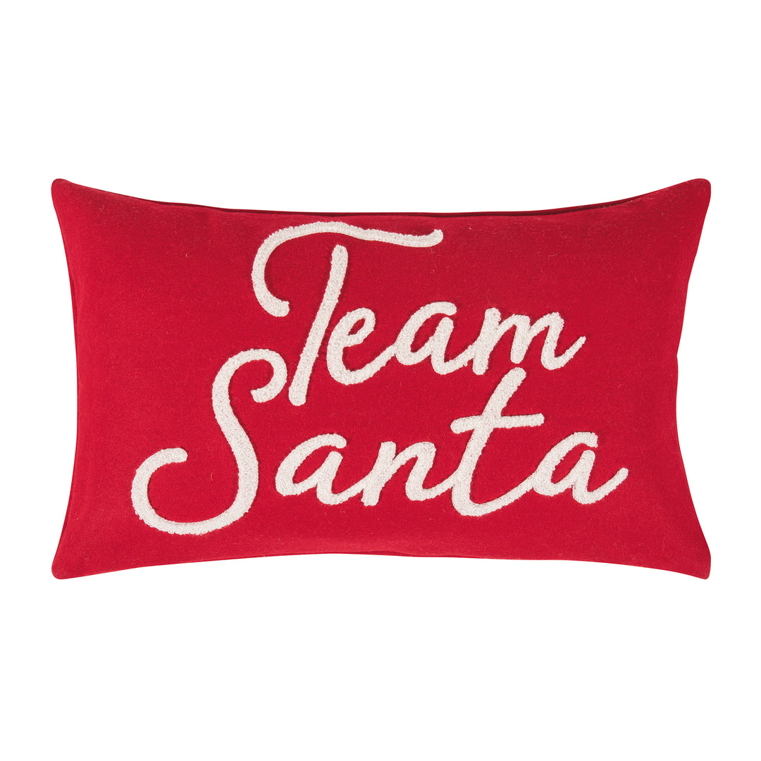 Red Team Santa Cushion