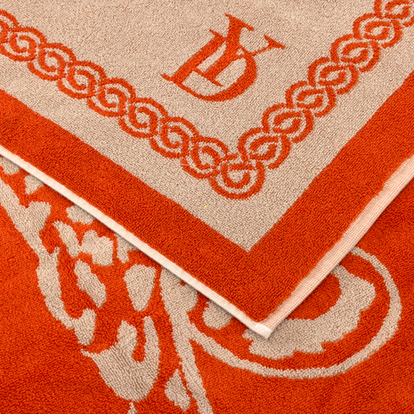 Leopard Desert Beach Towel