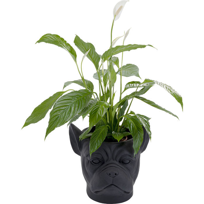 Black Bulldog Deco Planter