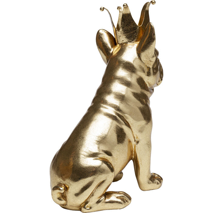 Gold Crowned Dog