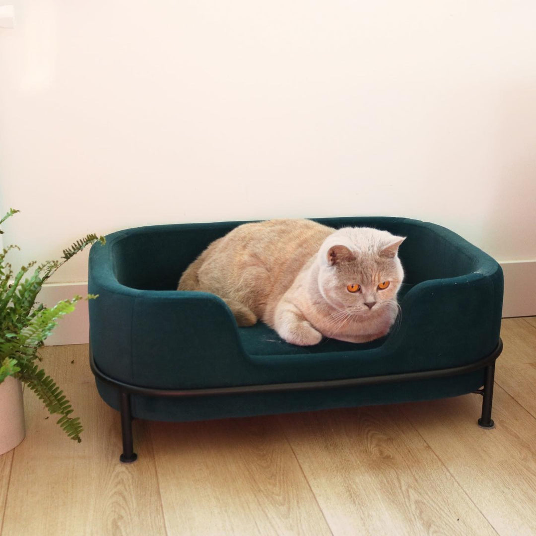 Pet Sofa Puffed Velvet